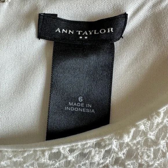 Ann Taylor Ponte Knit Crochet Dress Sleeveless Fit and Flare Cream Sz 6 - Picture 14 of 15